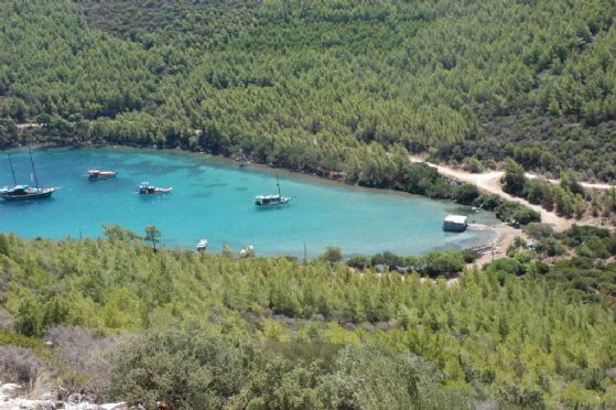 Bodrum resimleri