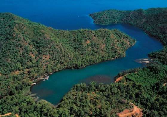 Bodrum resimleri
