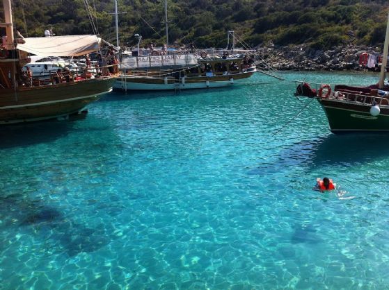 Bodrum resimleri