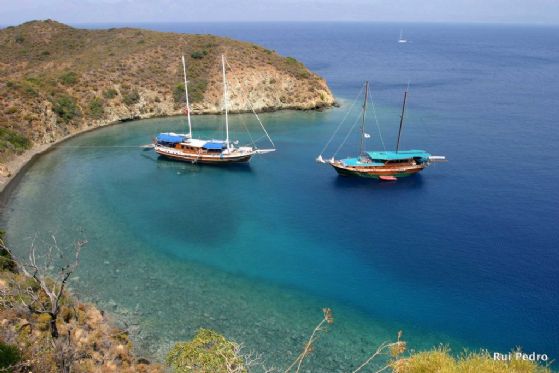 Bodrum resimleri