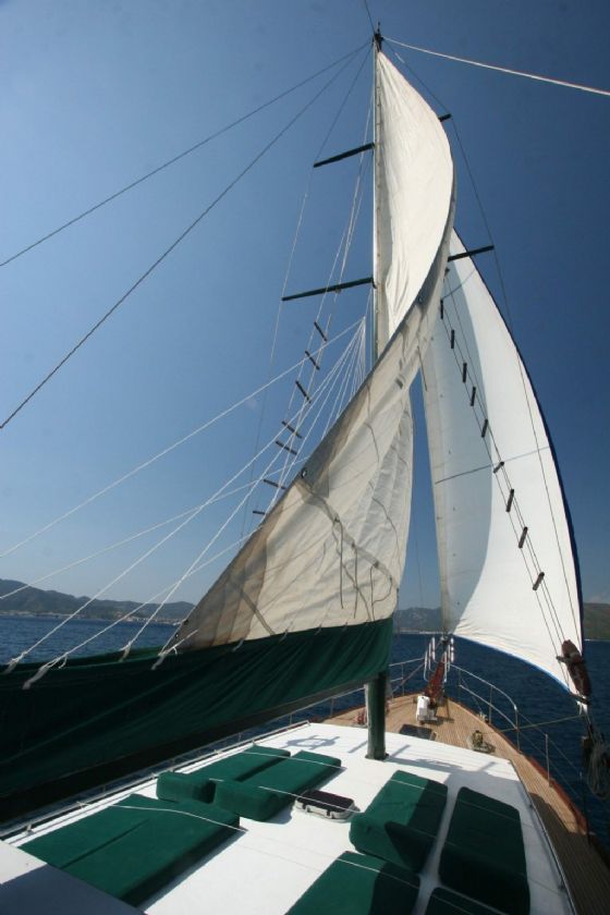 Hayat resimleri