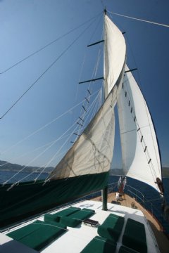 Hayat resimleri